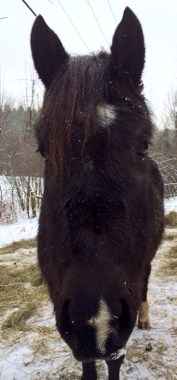 Very first picture ever uploaded! Maggie Jan 17 2014