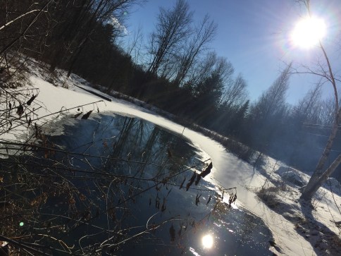 The secret of getting ahead is getting started. - Mark Twain  